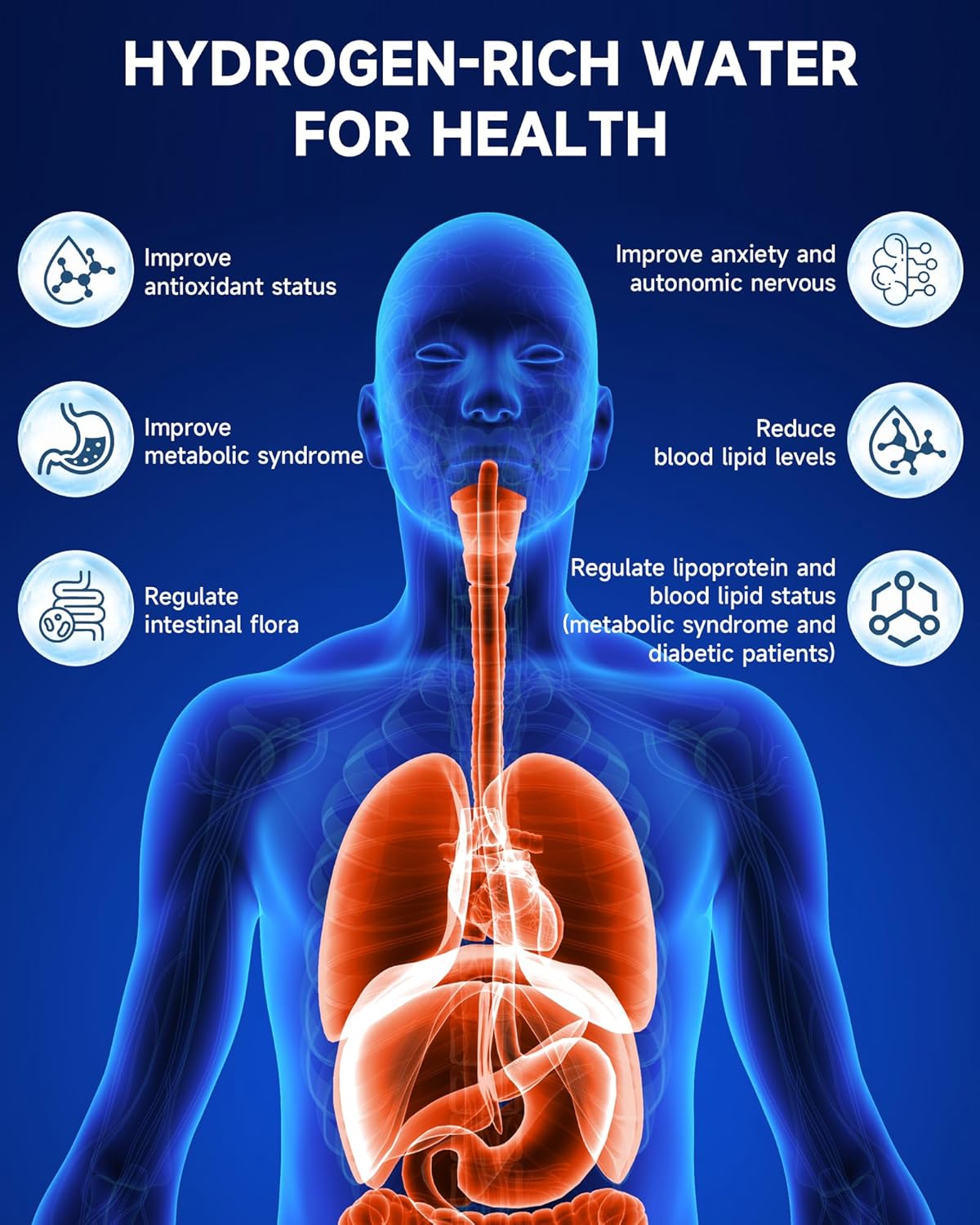 3QUEENS Hydrogen Water Bottle Generator